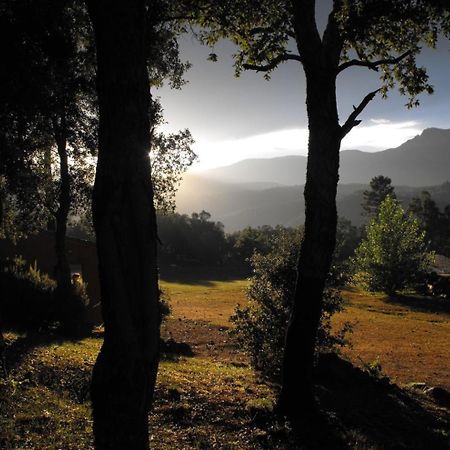 Camping Maçanet de Cabrenys Exterior foto